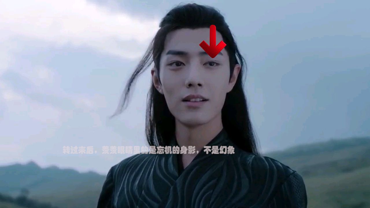 【陈情令】放大镜看大结局最后一幕